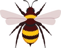 bumblebee insect clipart illustration 6818
