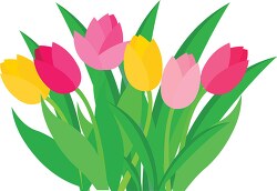 bunch colorful spring tulip flower clipart