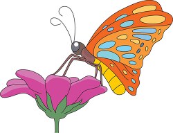 butterfly getting nectar flower clipart
