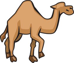 camel animal clipart