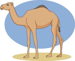 camel blue background clipart