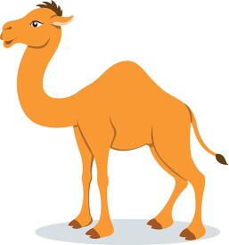 camel clipart
