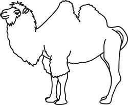 camel outline cliprt 630