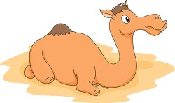 camel resting on sand vector clipart