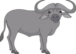cape buffalo clipart 7216