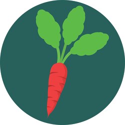 carrot vegetable icon