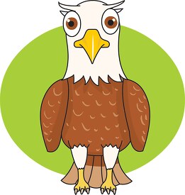 cartoon style eagle with big eyes clipart