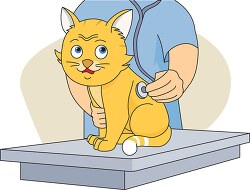cat at with vetinarian clipart