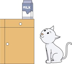cat looking up for milk