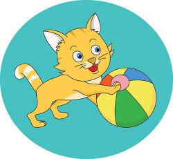 cat playing with beach ball