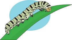 caterpillar on leaf clipart