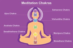 chakra meditation system chart with Seven chakra centers vector 
