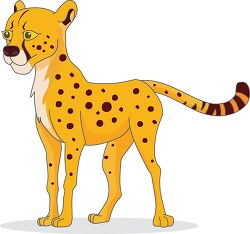 cheetah animal big cat clipart
