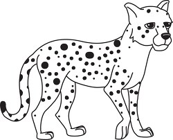cheetah animal black white outline clipart