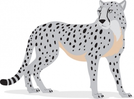 cheetah gazing over shoulder vector gray color