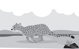 cheetah running in african savana vector gray color