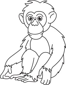 chimpanzee black white outline clipart