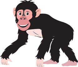 chimpanzee on all fours side view vectorgray color