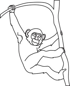 chimpanzee playing on tree branch black outline clipart