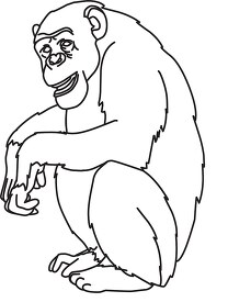 chimpanzee sitting 04 outline cliprt