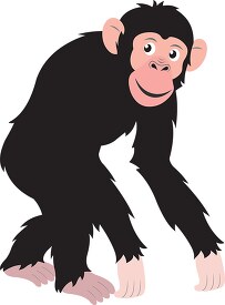 chimpanzee walking animal vector gray color