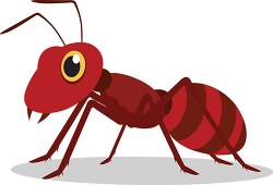 clipart cartoon style insect red ant