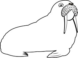 clipart of walrus with tusk whiskers black white outline cliprt