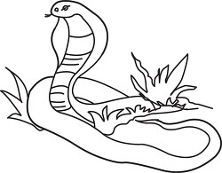 cobra snake black outline clipart