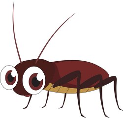 Cockroach Insect Clipart
