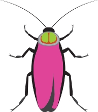 cockroach insect gray color clipart
