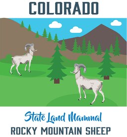 colorado state animal rocky mountain sheep clipart vector image