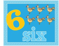 counting numbers six chicken orange
