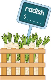 crate full vegetable radish for sale clipart copy