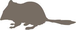 crest tailed marsupial mouse silhouette clipart