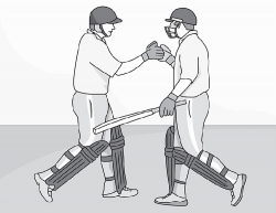 cricket two players gray