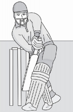 cricket wicket 07 gray