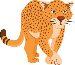 crouching african leopard clipart