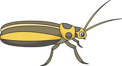 cucumber beetle insect clipart