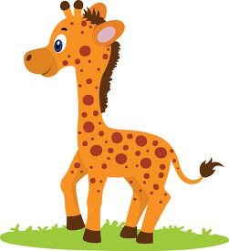 cute baby african giraffe animal clipart