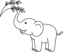 cute elephant snaching branch black white outline