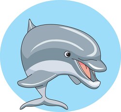 cute happy dolphin_marine animal