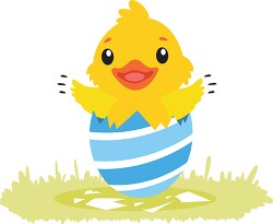 cute little chicken coming out of the egg shell clipart