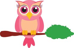 cute_cartoon_little_owl_bird_sitting_on_branch_animal_clipart