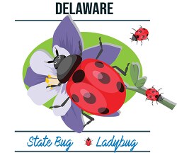 delware state bug ladybug vector clipart image