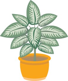 dieffenbachia plant  n planter clipart