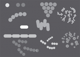 different types and shapes of bacteria vector gray color