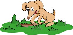 dog digging ground looking for bones