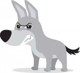 dog growling with aggressive expression gray color