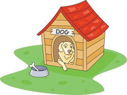 Dog Sitting in a Dog House