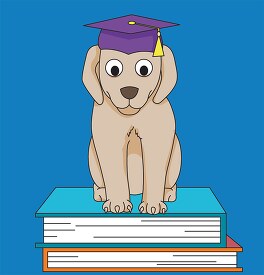 dog with graduation cap on books 2021
